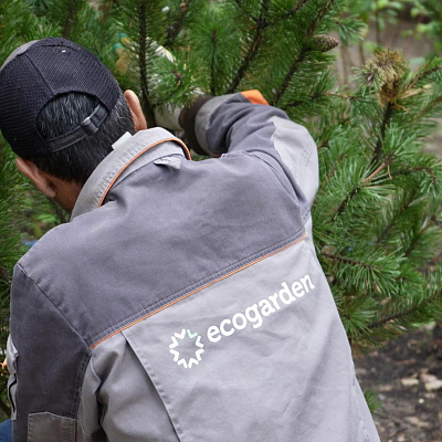 Сервисное обслуживание