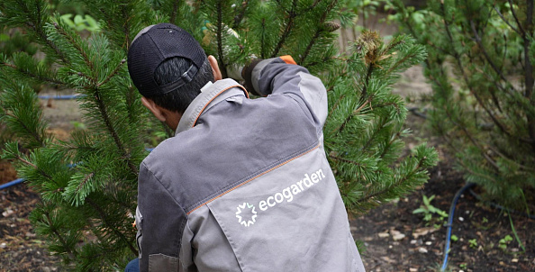 Сервисное обслуживание